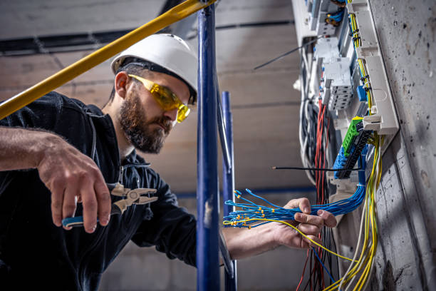 Best Local Electrician Companies  in Despard, WV