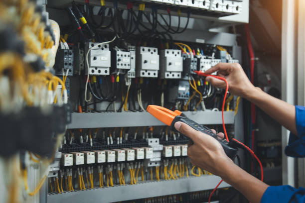 Best Ceiling Fan Installation Electrician  in Despard, WV